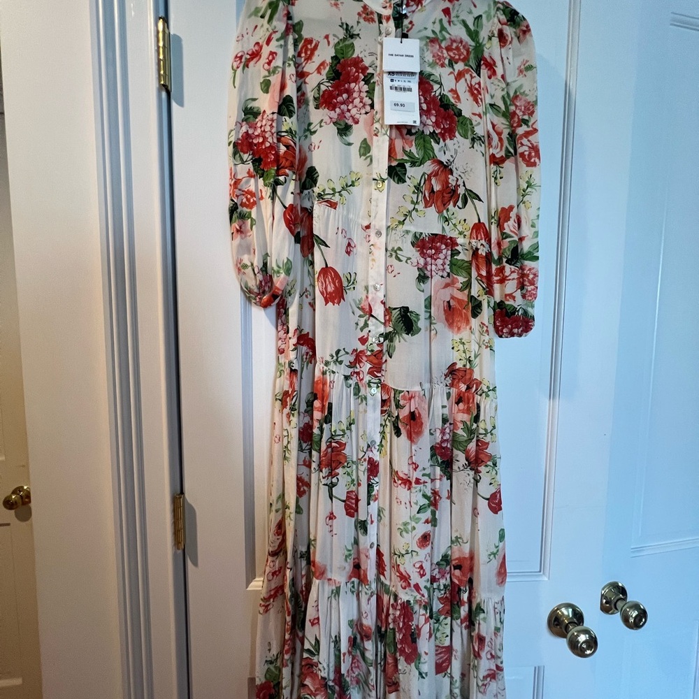 Zara Floral Print Maxi Dress